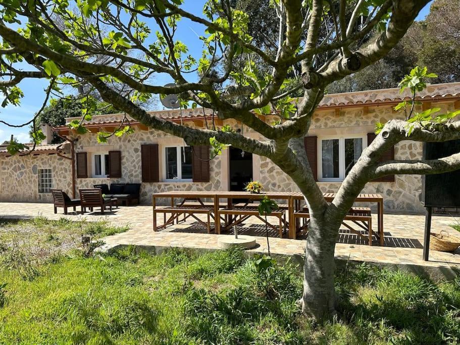 Finca Roberto Villa Кан Пикафорт Екстериор снимка